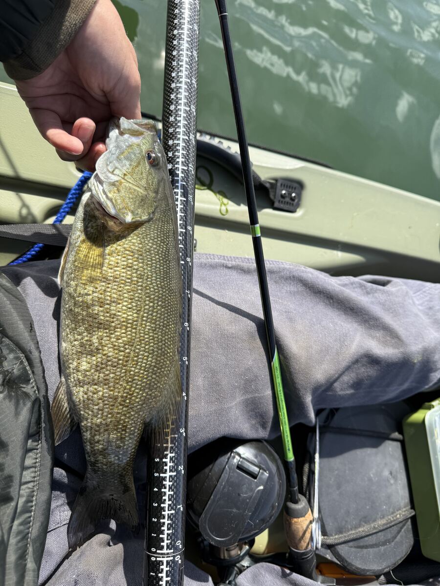 Angler holding up a smallmouth bass caught on Dale Hollow Lake
