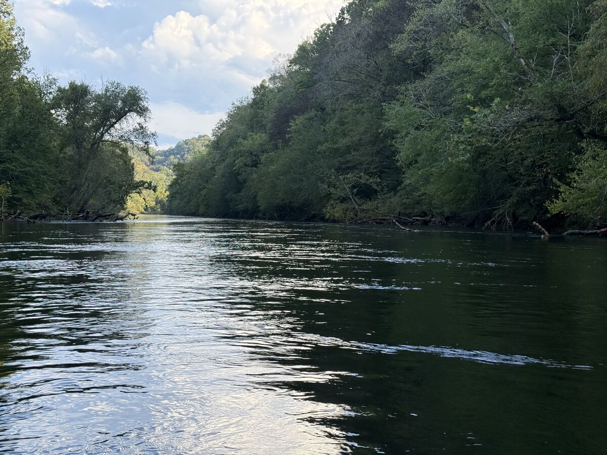 Calm, tree-lined stretch of the Obey River