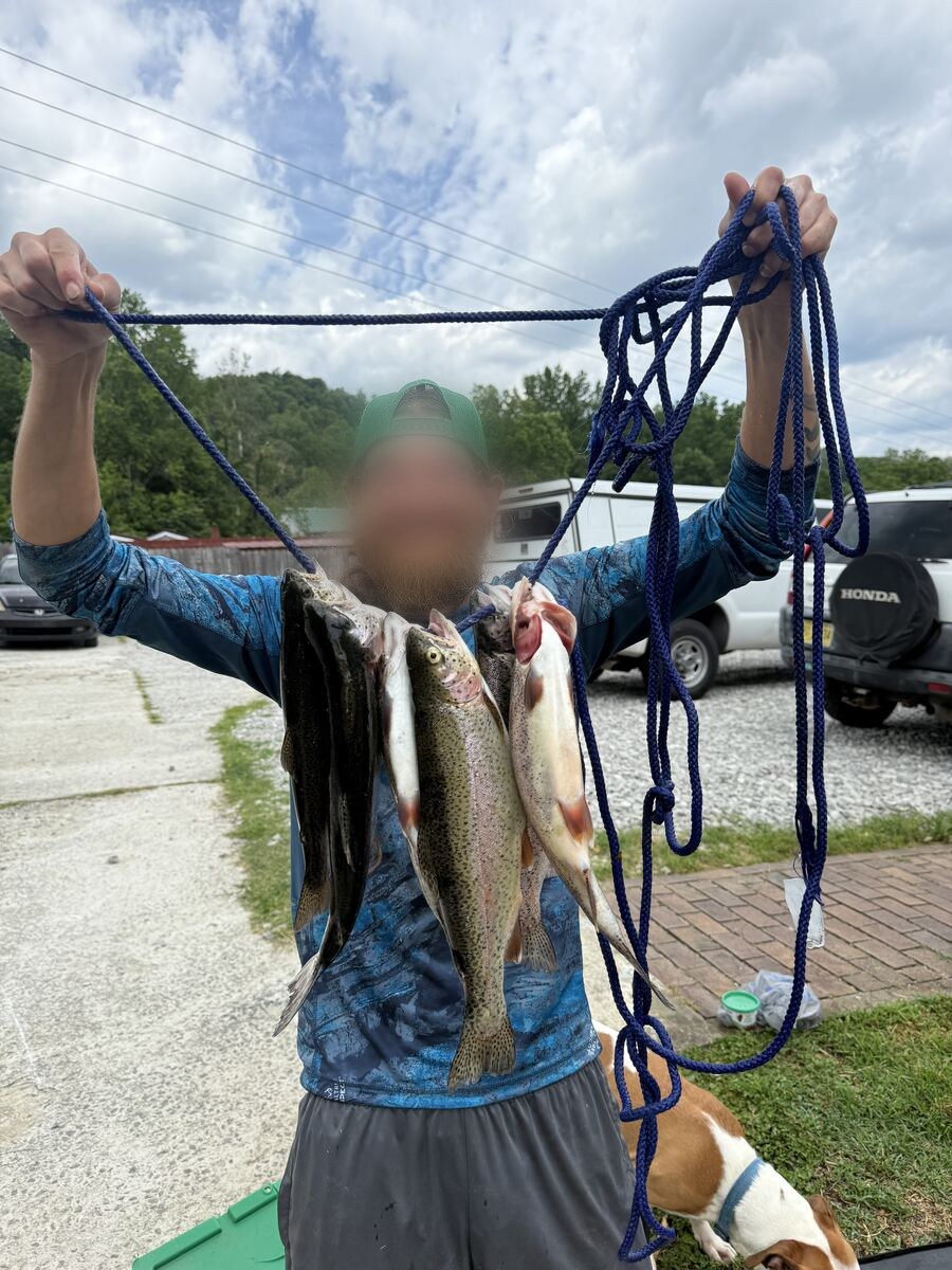 Angler holding a stringer of freshly caught trout